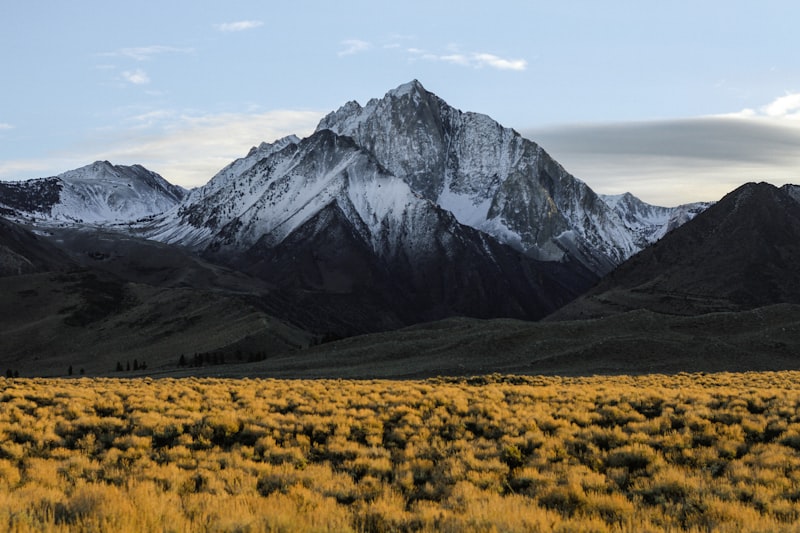 Altitude Sickness on the Khumbu: Prevention, Recognition & Treatment