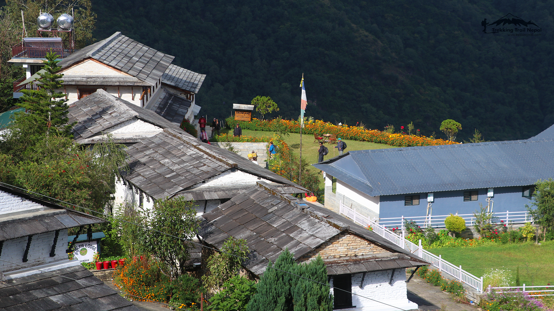 Annapurna Luxury Lodge Trek